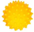 526.jpg